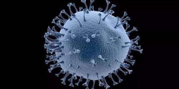 微信圖片_20210220154830