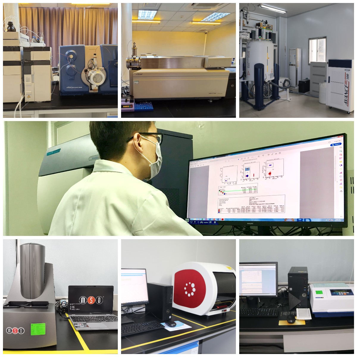 稿定設(shè)計(jì)導(dǎo)出-20230417-120031