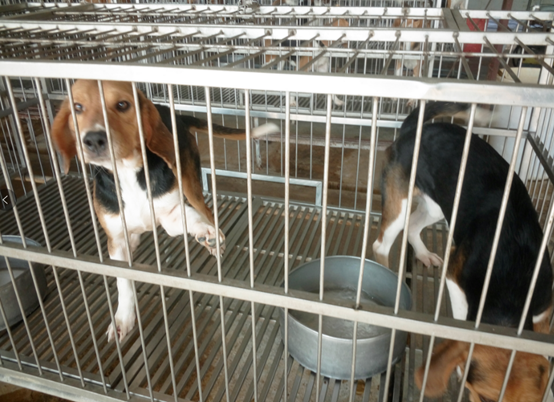 微信圖片_20230506142317