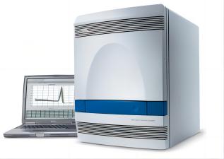 ABI7500型實時熒光定量PCR儀