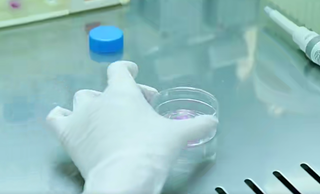 QQ截圖20241022184538