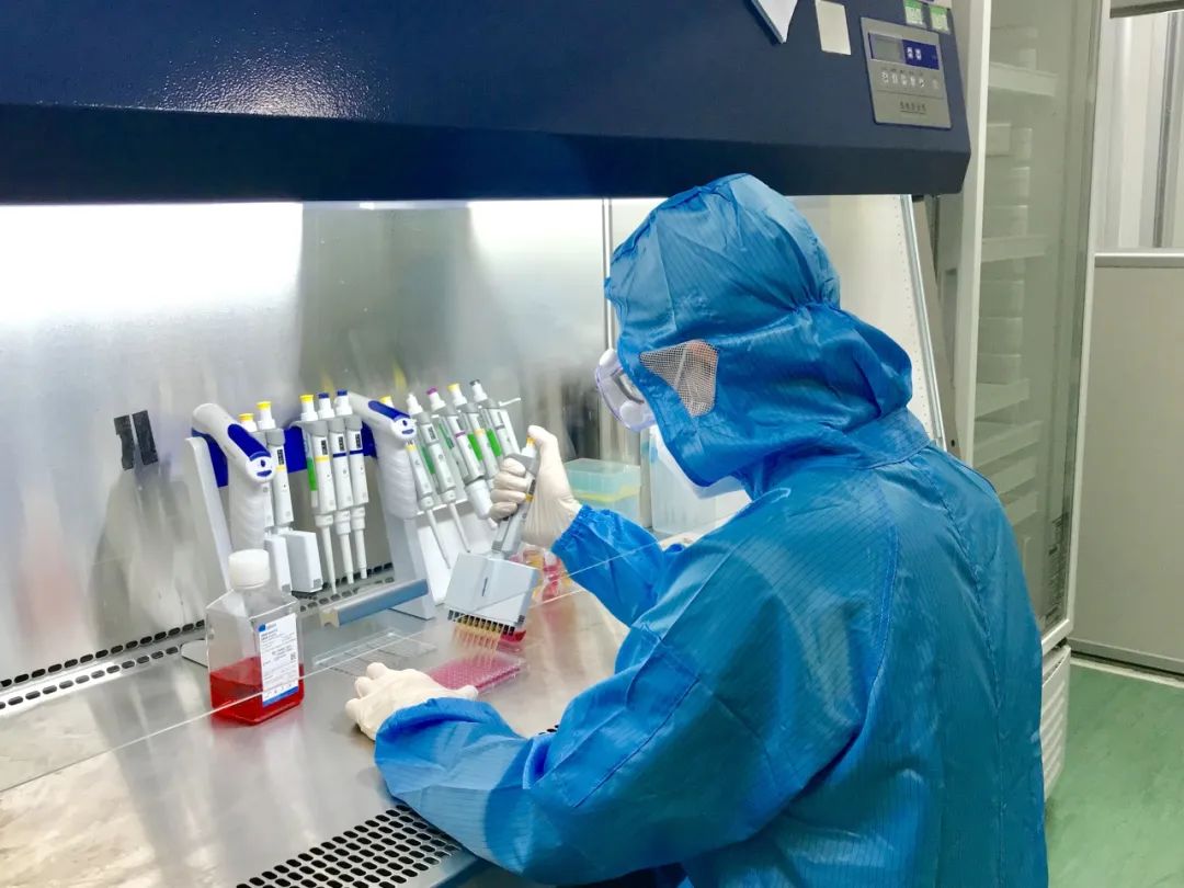 標(biāo)準(zhǔn)解讀丨GB/T 21551.2新標(biāo)解讀：家用電器零部件抗病毒檢測升級！