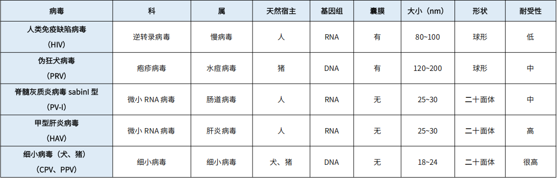 常見病毒信息比較
